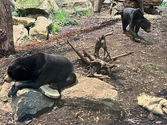 24-12-06 14-09-12 1639